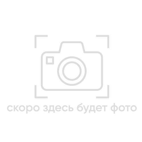 Кроссовки AKU WS Rapida EVO GTX цвет Dark Grey / Purple