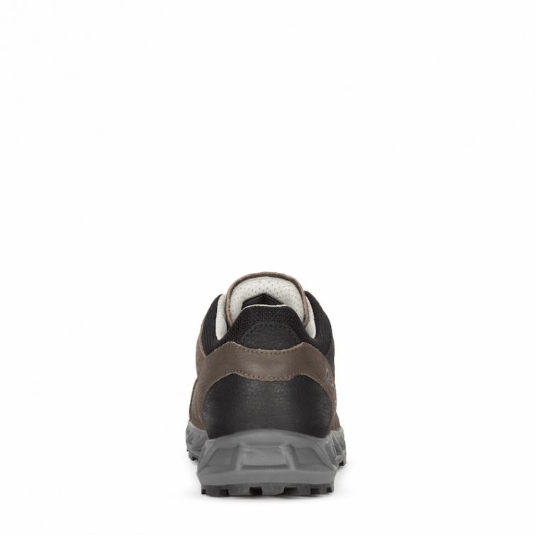 Кроссовки AKU Rapida NBK GTX цвет Dark brown / Anthracite фото 4